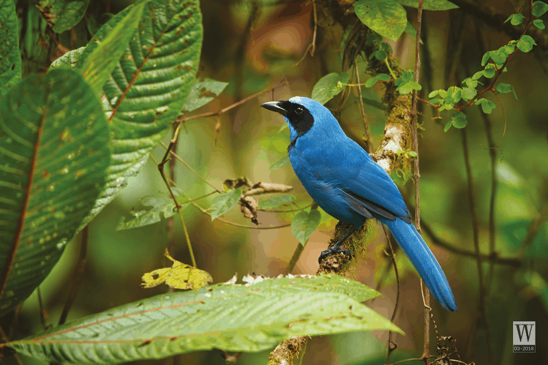 4 mô hình du lịch có trách nhiệm nổi bật trên thế giới